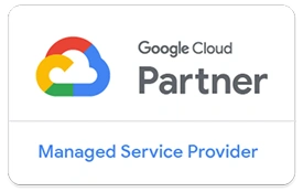 Google Cloud Partner Managed Service Provider